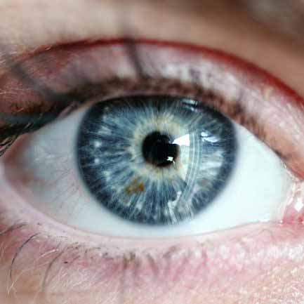How can you prevent vision loss from diabetes?
